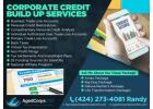 Corporate Credit Build up services