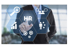 Transforming Businesses with Our HR and Payroll Management